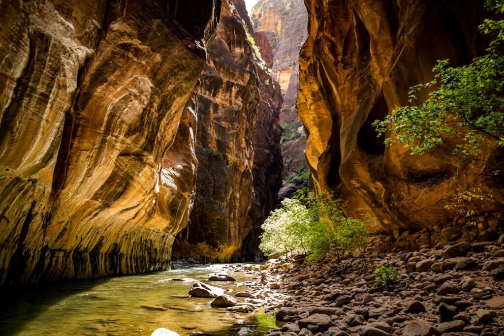 Top 10 Scenic Hiking Trails in North America: A Must-Visit Guide 6 Hiking Trails