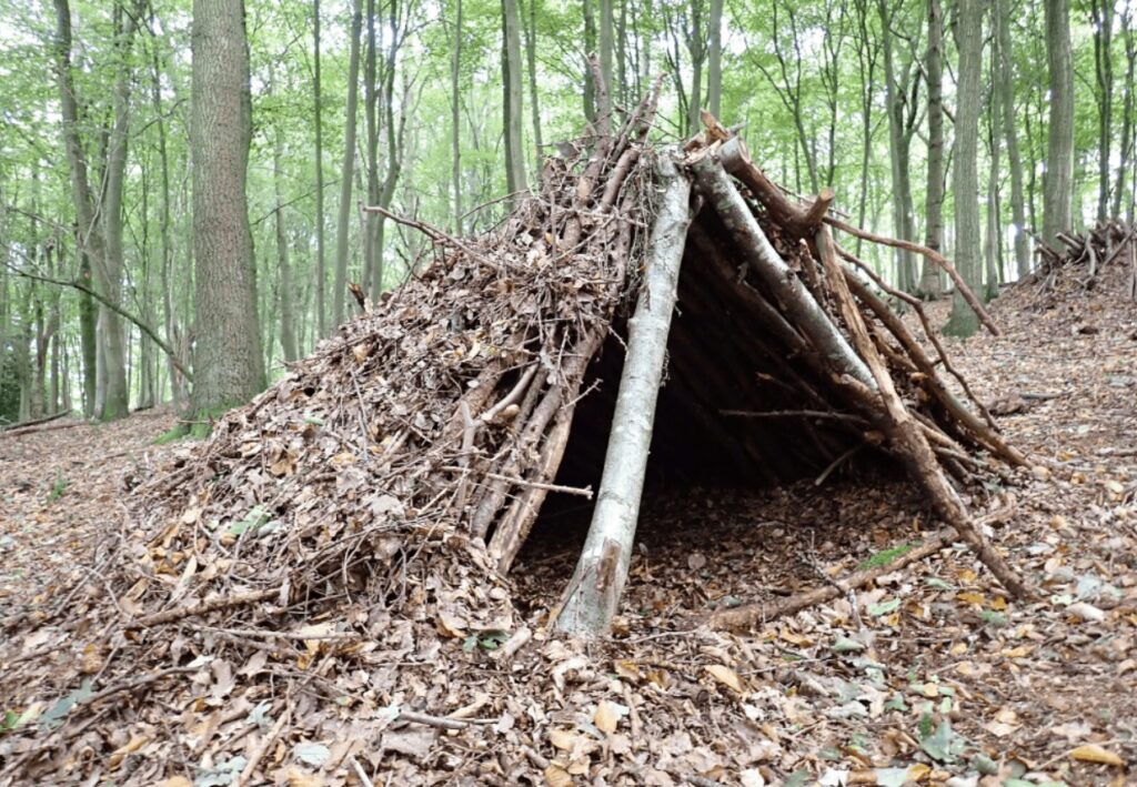 Essential Survival Skills Every Adventurer Should Know 4 Shelter