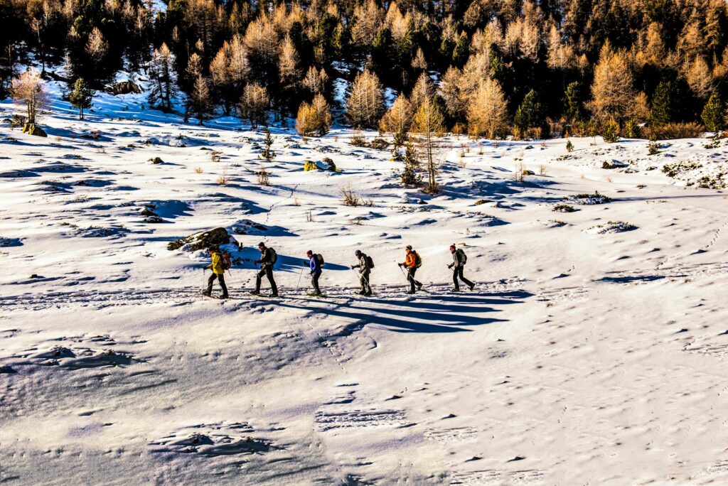 Winter Hiking: Top 10 Essential Accessories for Safety and Comfort 2 pexels frans van heerden 201846 2054402