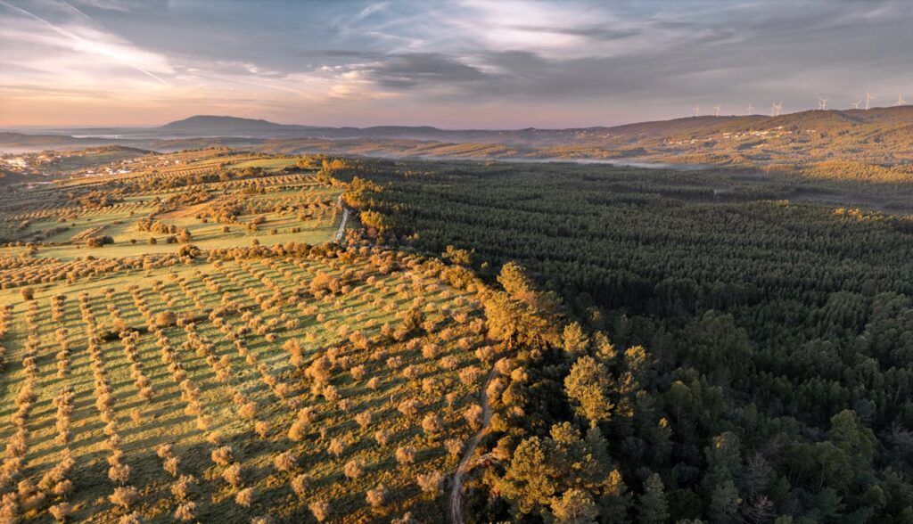 Alentejo, Portugal