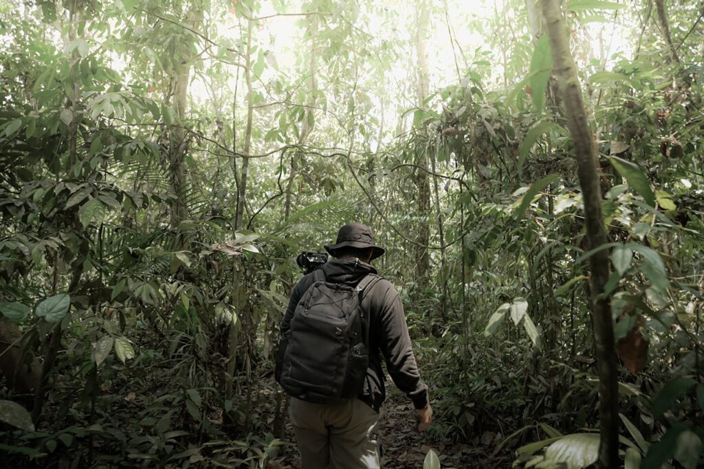Adventure Travel Bucket List: 15 Thrilling Experiences You Must Try 16 Exploring the Amazon Rainforest
