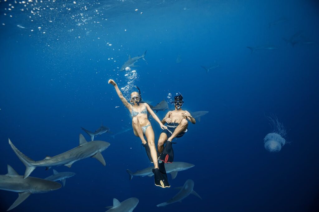 Adventure Travel Bucket List: 15 Thrilling Experiences You Must Try 4 Scuba Diving with Sharks in the Bahamas