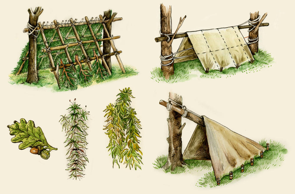 Essential Survival Skills for Solo Adventurers 6 Shelter Building
